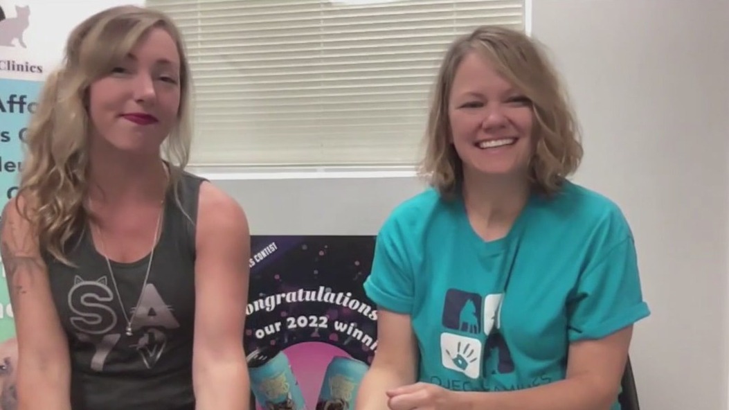 Spay Illinois, SAYv Animal Organization partner to save lives