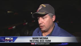 Bobcat terrorizes Pearland farm