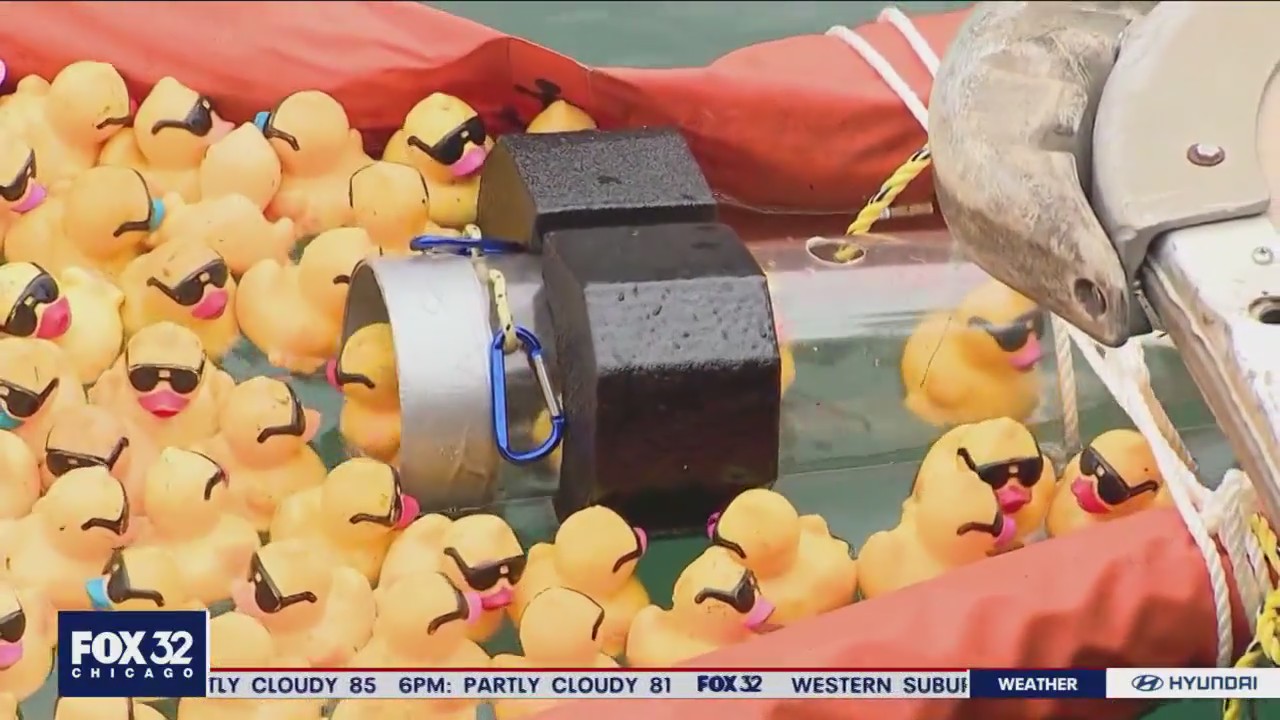 Ducky Derby floats back into Chicago next week