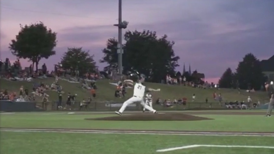 Fans sues Joliet Slammers after being hit by baseball bat