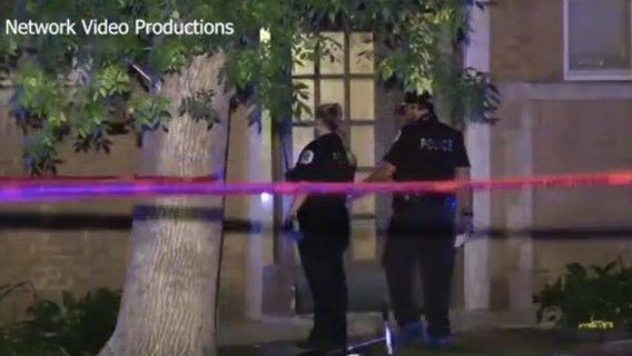 Serabi Medina: 9-year-old girl killed while playing outside in Chicago's Portage Park