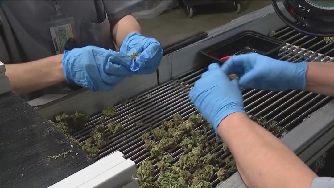 Darien marijuana dispensary delays opening