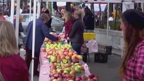 National Farmers Market Week: Fruits, cheeses and more at your local market