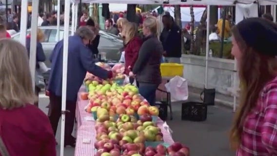 National Farmers Market Week: Fruits, cheeses and more at your local market
