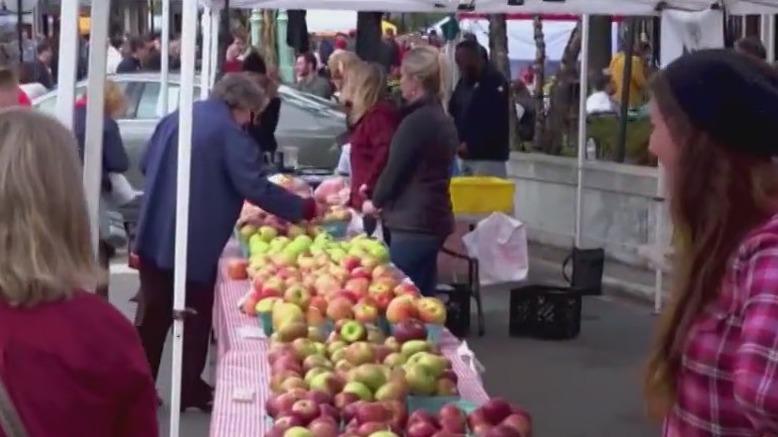 National Farmers Market Week: Fruits, cheeses and more at your local market