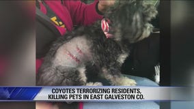 Fox 26 News Brief for Thursday, December 13, 2018