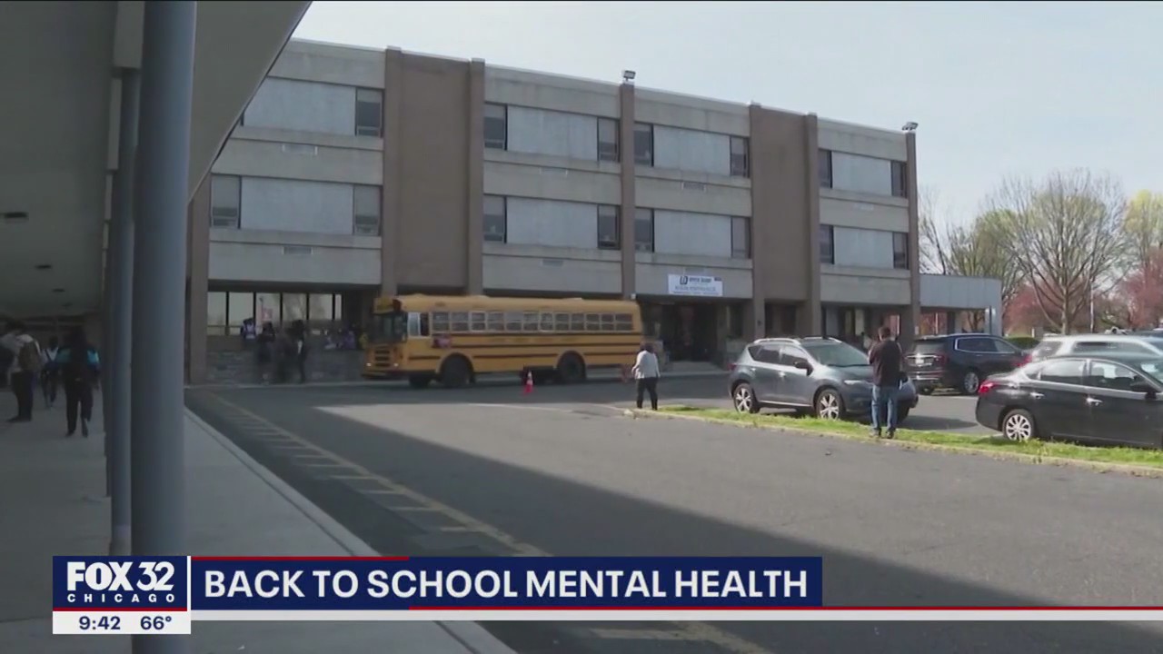 Mental health should be top priority for kids as they return to school: experts