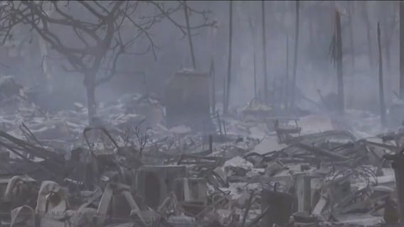 Illinois woman says dream vacation in Maui turned into nightmare