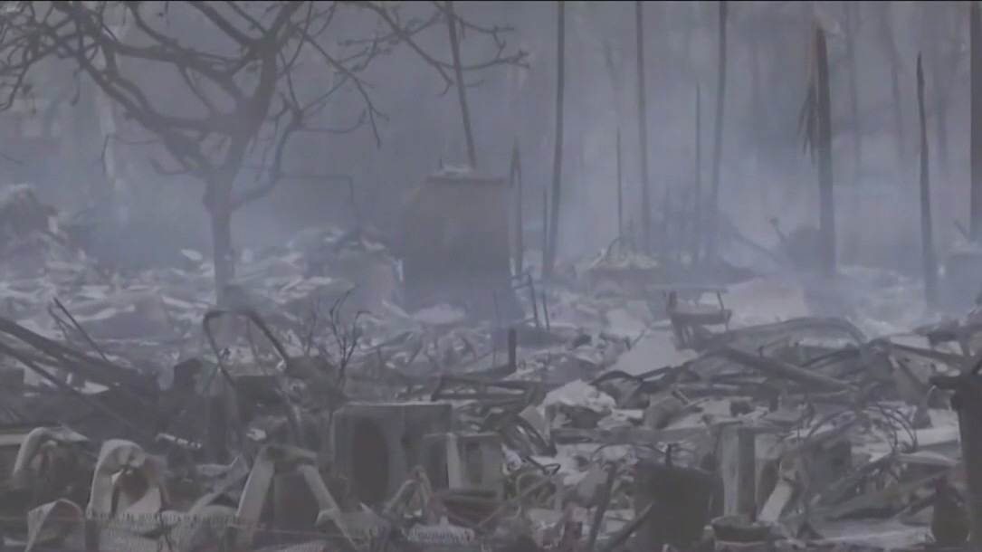 Illinois woman says dream vacation in Maui turned into nightmare