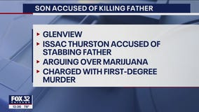 Son fatally stabbed father in Glenview during argument over marijuana: prosecutors
