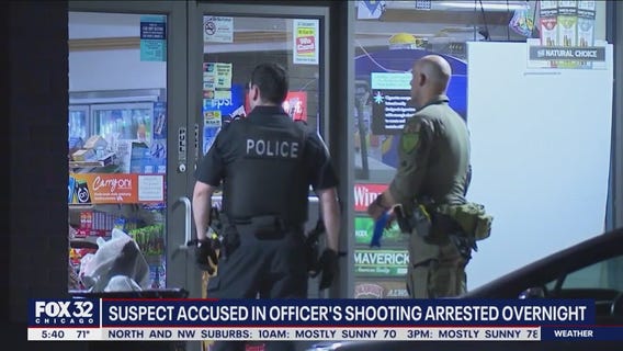 Suspected thief who allegedly shot Bolingbrook police officer taken into custody