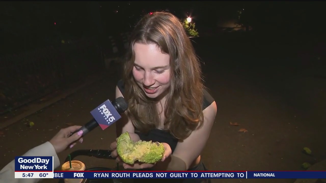What is an osage orange? | FOX 5 New York