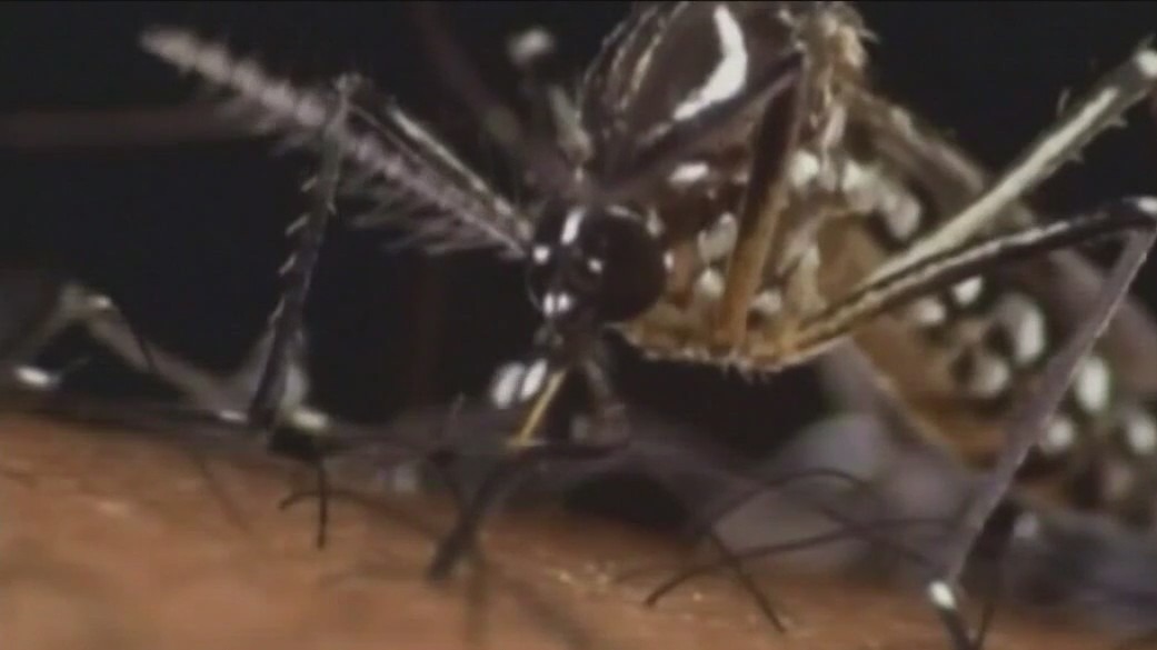 Cook County resident dies of West Nile Virus; first death reported in 2023