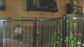 Chicago man beat with golf club as attackers laugh