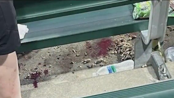 Chicago White Sox explain why game continued after two fans suffered gunshot wounds in stadium