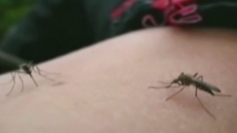 Chicago's risk for West Nile Virus is high