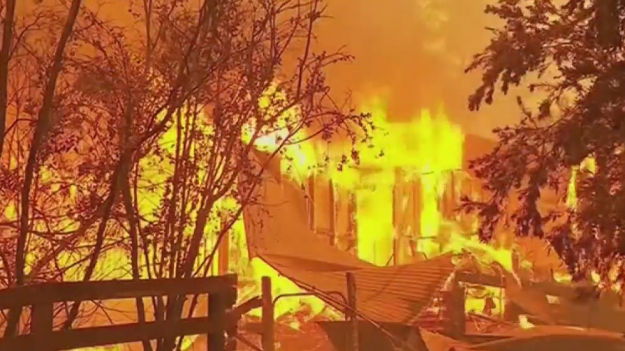 What is the scientific community saying about Australia's wildfires?