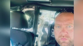 Sheriff deputy catches goat