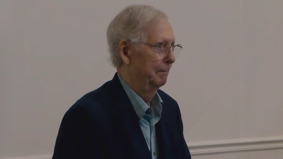 Senate GOP leader Mitch McConnell appears to freeze up again