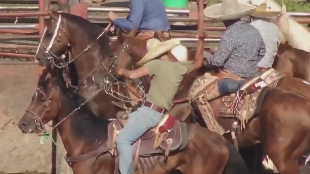 Drone video allegedly captures shocking animal abuse at Chicago area rodeos, sparking lawsuit