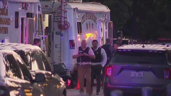 1 in custody, another at large after allegedly committing armed robbery in Chicago suburb