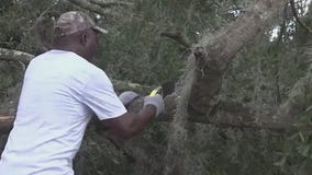 Crews continue to clean up after Idalia