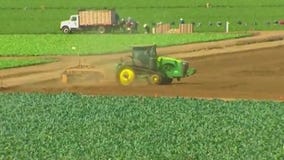 U of I shows how it can yield more food and combat climate change