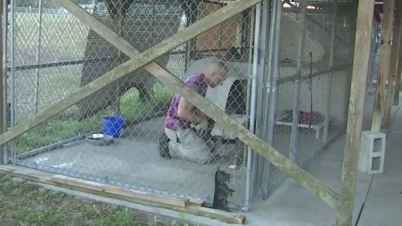 Florida man sleeps in animal shelter for 30 days in a push for better facilities
