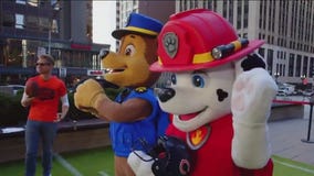 PAW Patrol roots for the Bears on Orange Friday