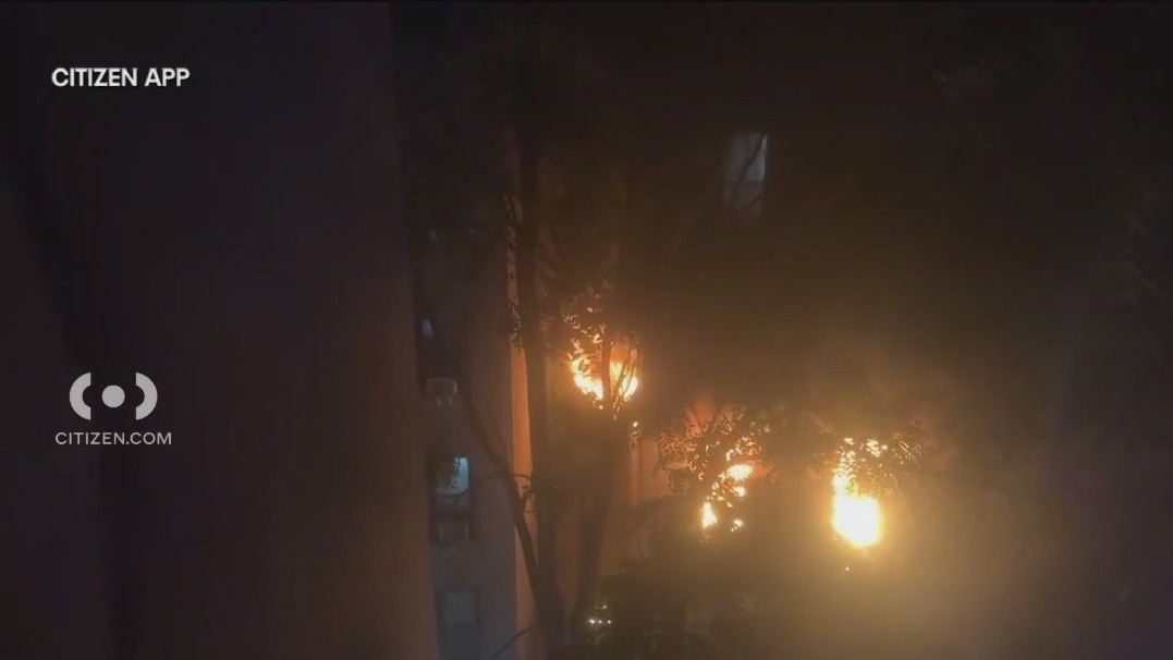 1 dead, 3 injured in Brooklyn apartment fire | FOX 5 New York