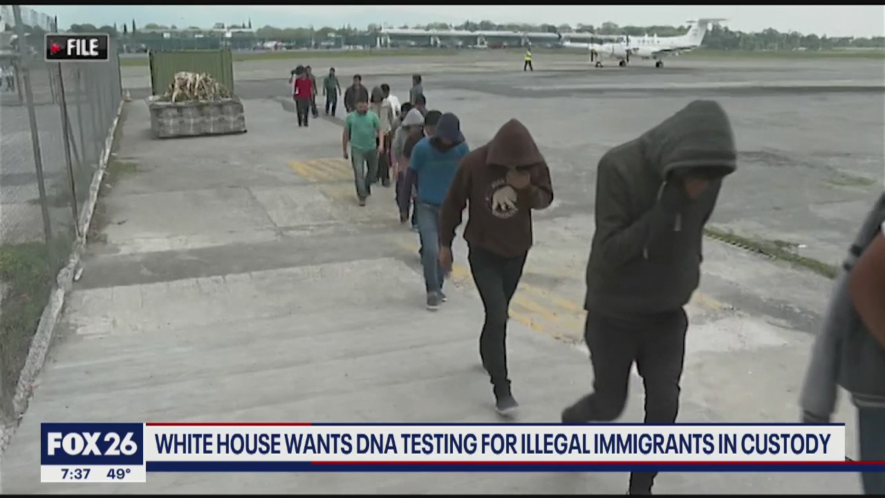 Illegal immigrant DNA database, a violation of privacy or effective enforcement, what's your point?