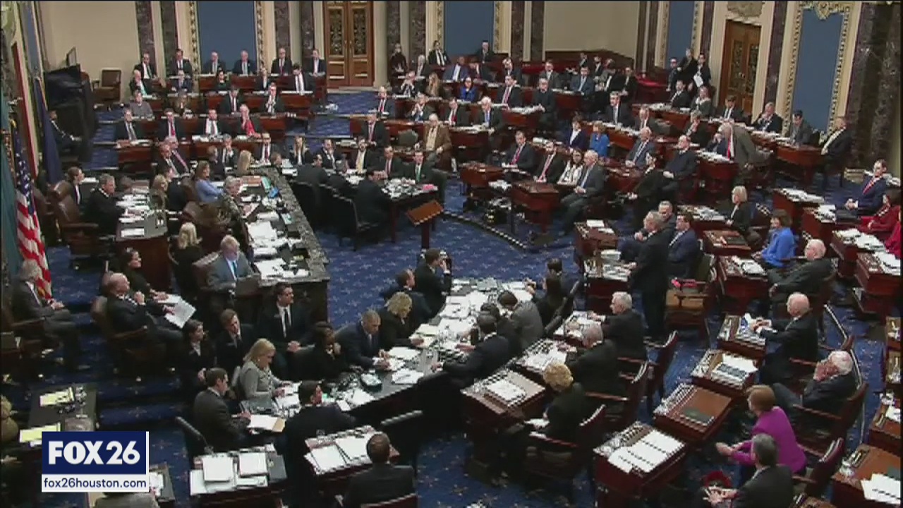 The Impeachment trial and its debates this week, What's Your Point?