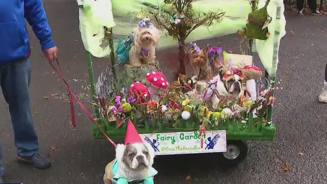 Tompkins Square Halloween Dog Parade in doubt
