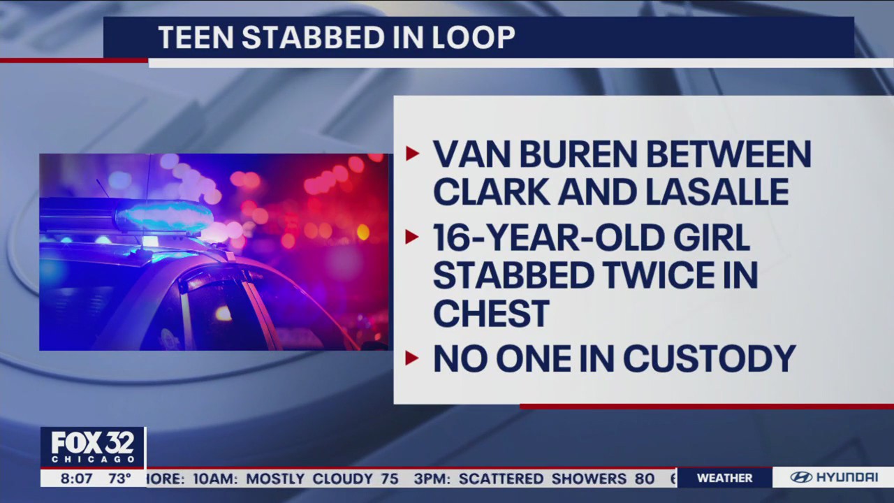 Girl, 16, stabbed to death during fight in Loop