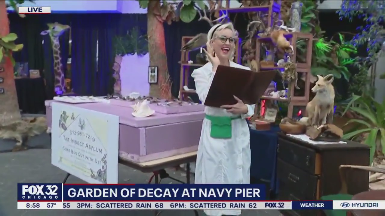 Navy Pier is hosting not your normal haunted house but a creepy immersive experience