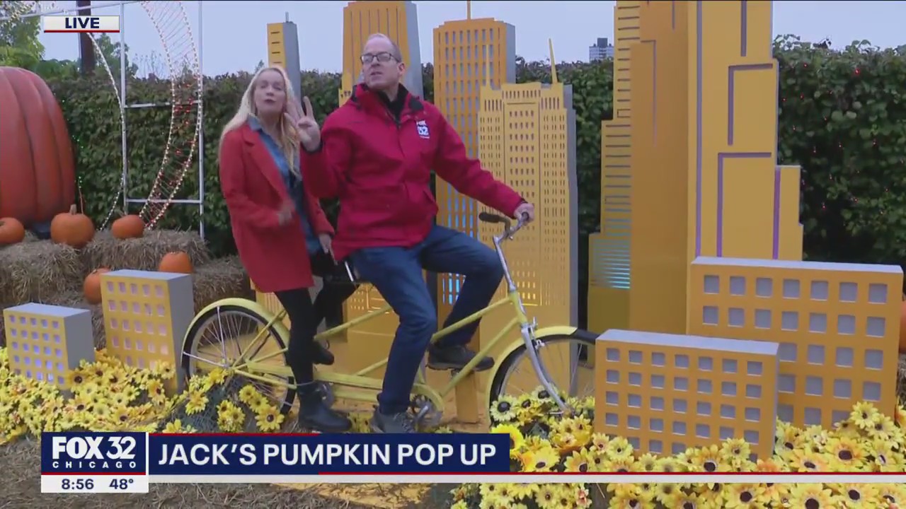 It's a one-of-a-kind pumpkin patch in downtown Chicago