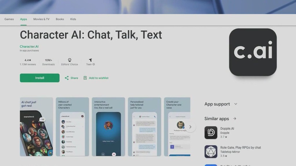 AI platform sued by mom, blamed for teen's suicide
