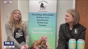 Spay Illinois to reveal Ales for Tails winners next weekend