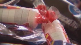 Tips for protecting your pets this Halloween