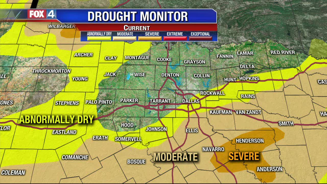 Foggy Friday Morning