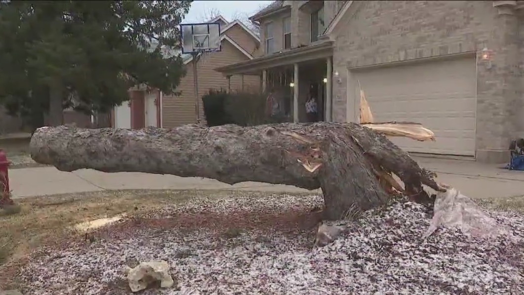 Cleanup begins in Cook County day after violent storms tore through area
