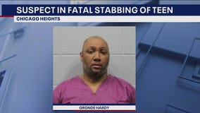 Chicago Heights stabbing: Man allegedly killed teen, wounded another after argument