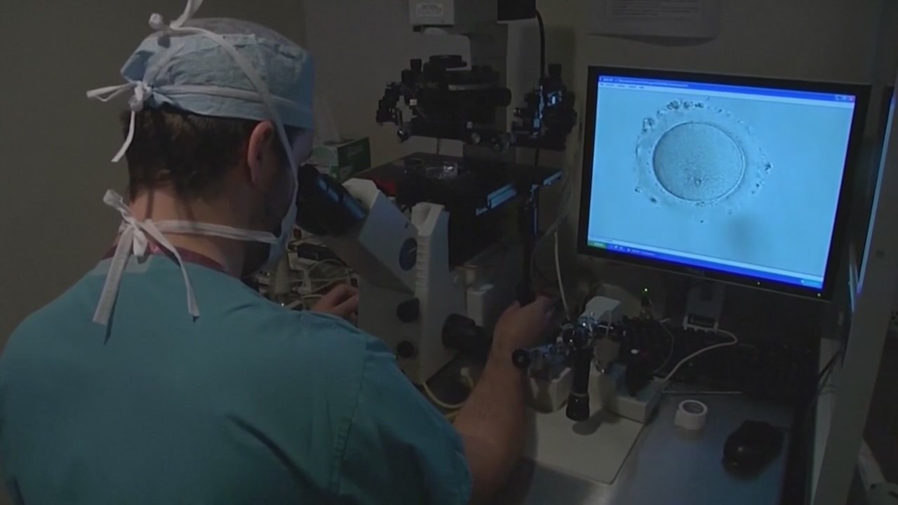 Alabama passes IVF legislation