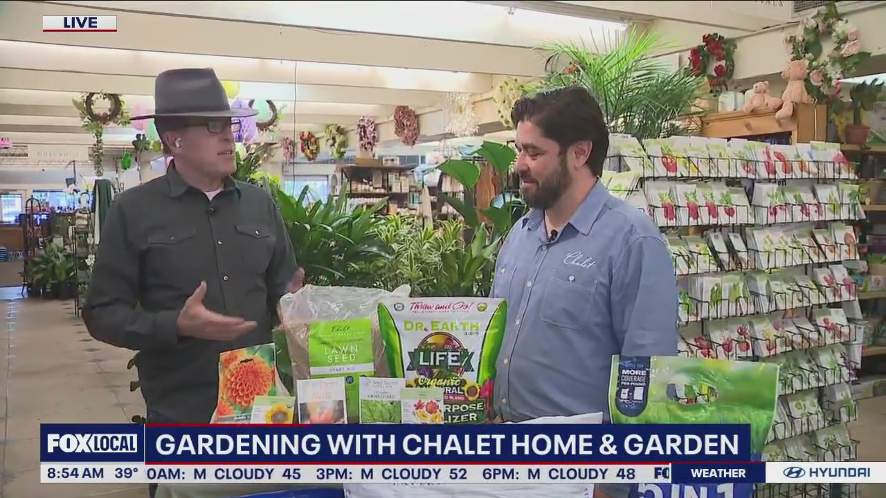 If your thumb isn't green, Chalet Home & Garden can help.