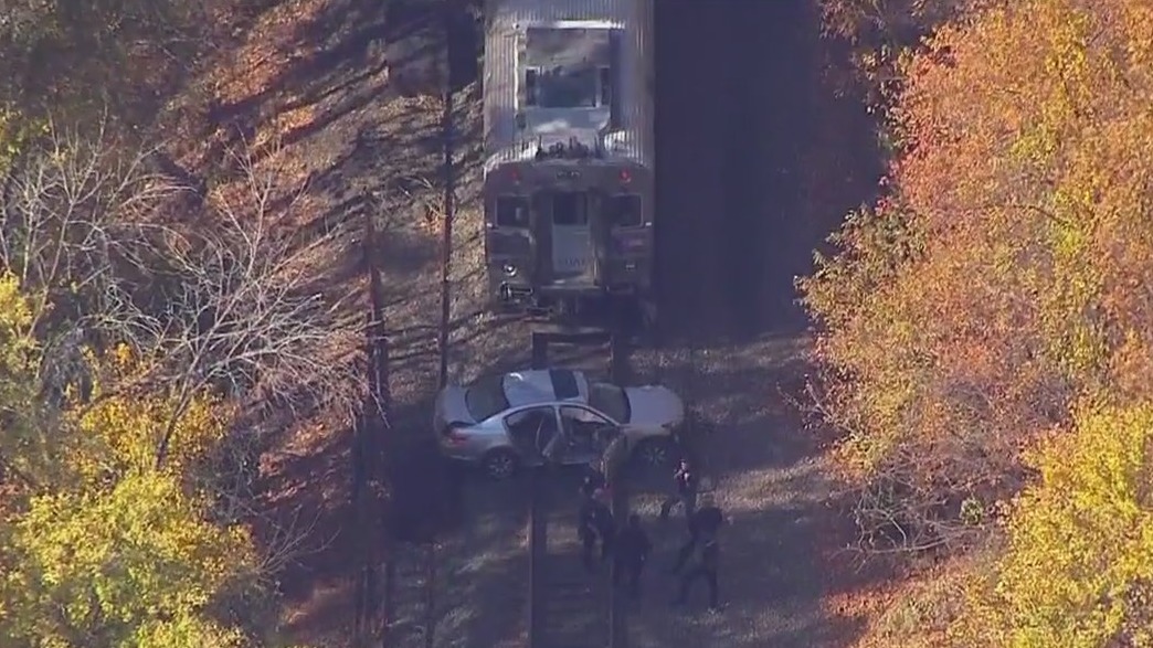 Driver fatally struck by NJ Transit train