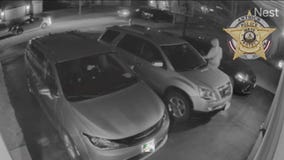 Suburban police warn residents after string of car thefts, burglaries