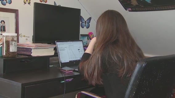 Parents turn to 'smart firewalls' to monitor children's online activity