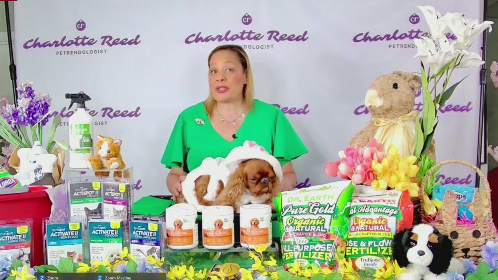 Spring hazards to help your pets avoid