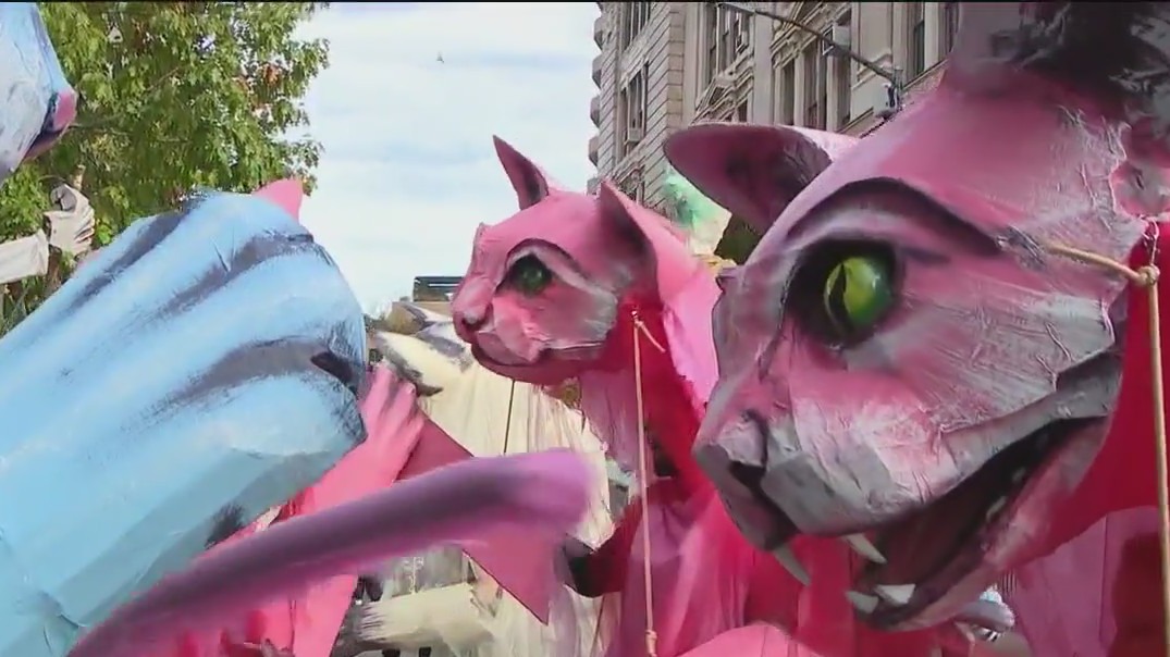 NYC's Halloween Parade kicks off with feline flair