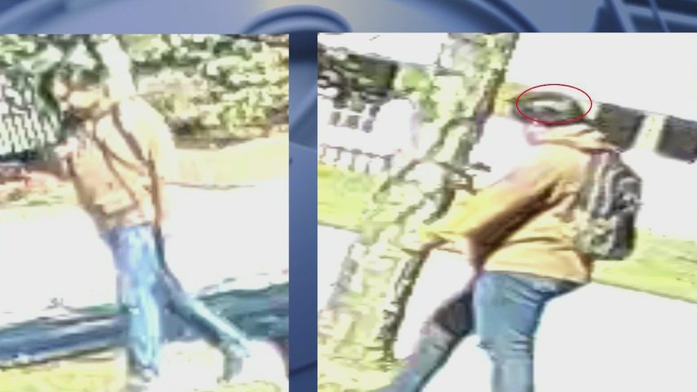 More details released about bank robbery suspect in Schaumburg: FBI